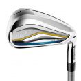 Kalea Gold Ladies Irons