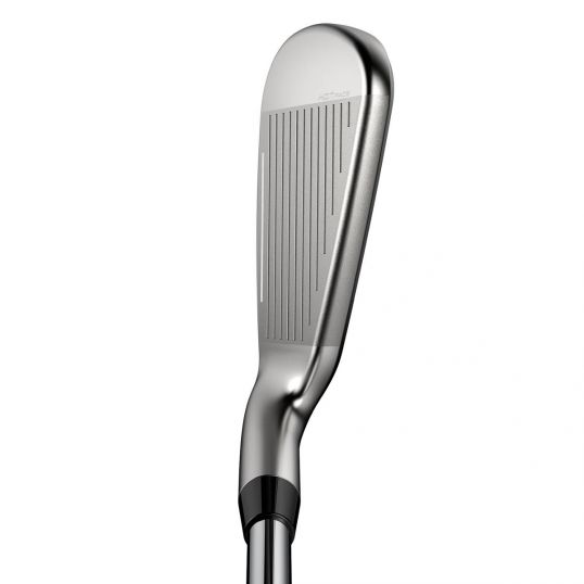 DS Adapt Steel Irons CUSTOM (Custom _276912_255729_236920) (Not Quite Perfect)