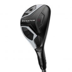 Quantum Max Hybrid