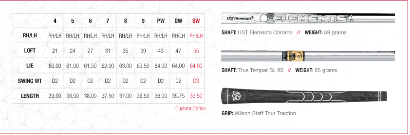 Custom fit details for D200 Irons Graphite Shafts